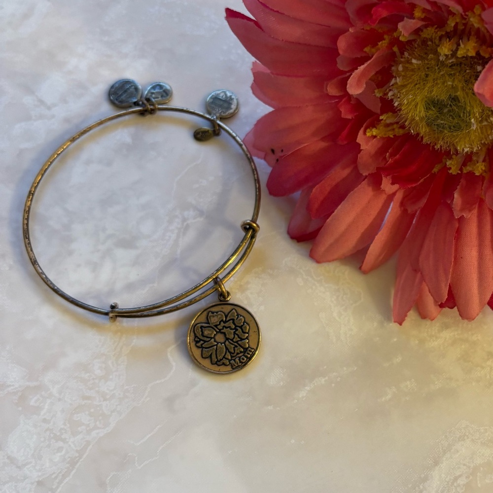 Alex and Ani Gold Charm Bracelet - with gift box